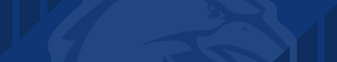 九游娱乐-段昂君入选2025CBA全明星赛北区替补阵容